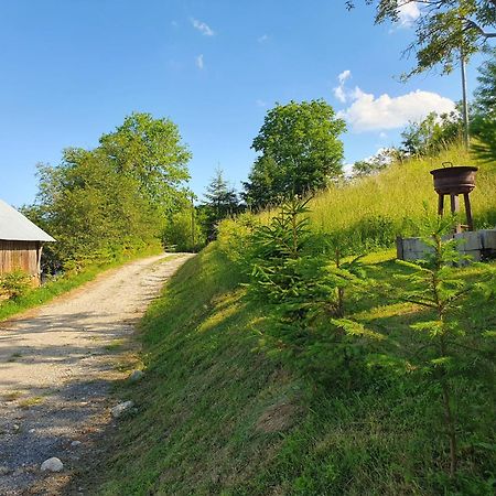 Cabana Valea Lui Mas Robaia Eksteriør billede