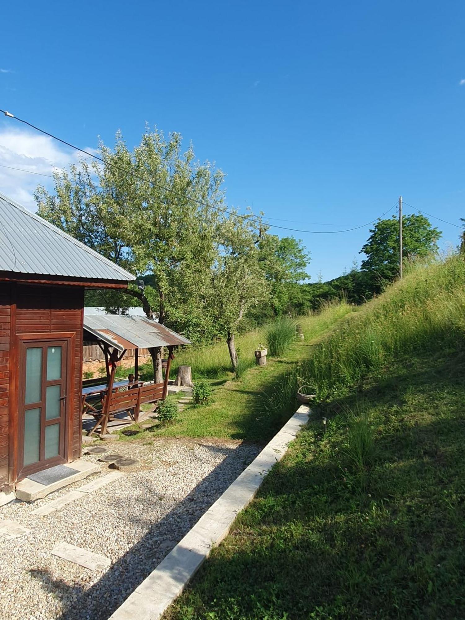Cabana Valea Lui Mas Robaia Eksteriør billede